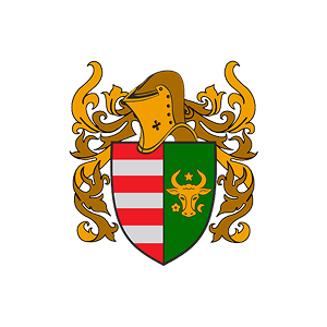 Moldovan National Buhurt Organization logo
